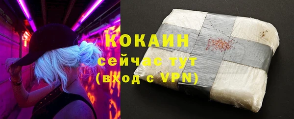 шишки Балахна