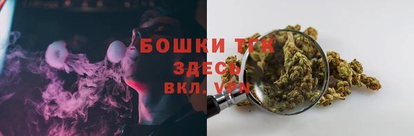 стаф Беломорск