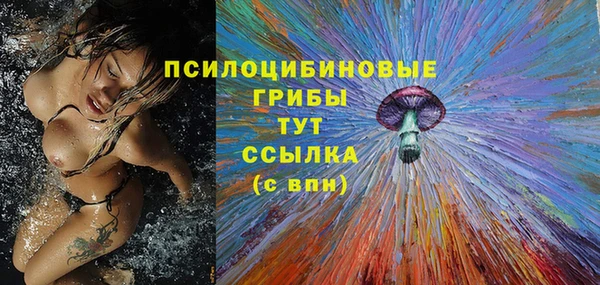 шишки Балахна