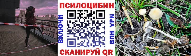 hydra сайт Кунгур Галлюциногенные грибы Magic Shrooms как найти